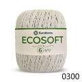 ER_ecosoft6_ER_0300